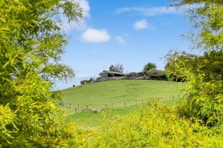 387 Wright Road Matakana_30