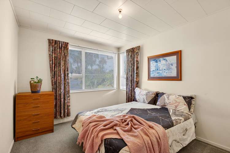 1/58 Mcdonald Street Napier South_9