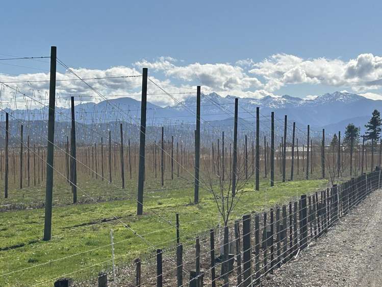 84 Main Road Tapawera_52