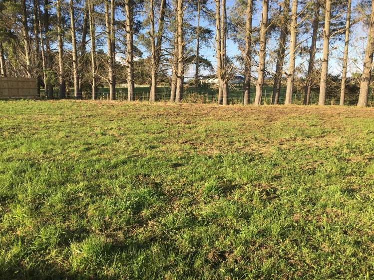 16b Rayner Lane Marton_6