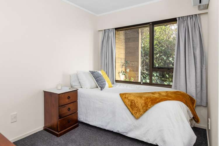 15 Hornsey Road Bluff Hill_9