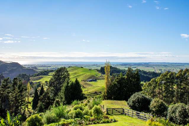 499 Reid Road Papamoa_4