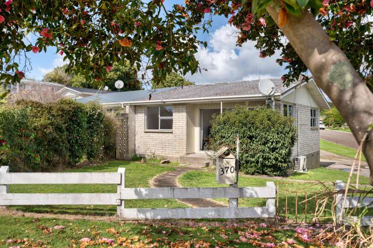 370 Waihi Road Judea_12