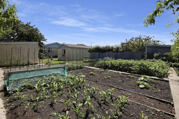 149 Thomson Street Tinwald_39