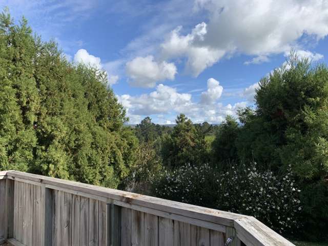 66 Youngson Road Whakamarama_3