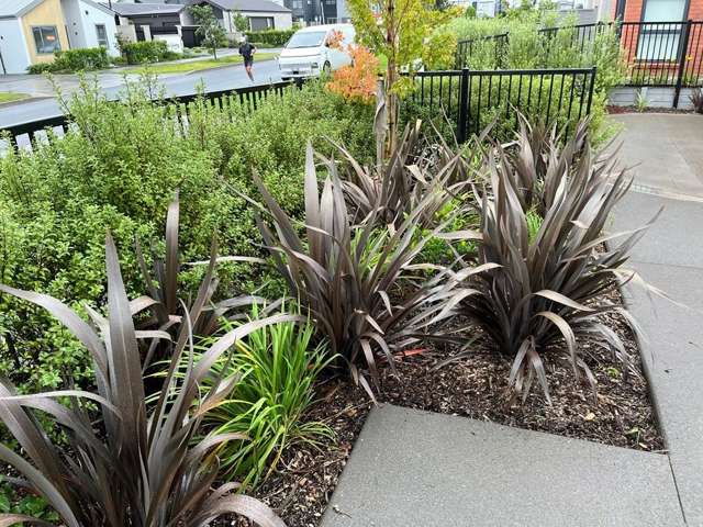 11 Ngakoro Road Karaka_4