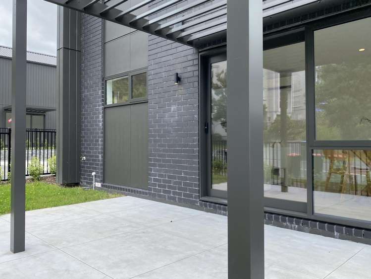 3 Hochstetter Stonefields_8