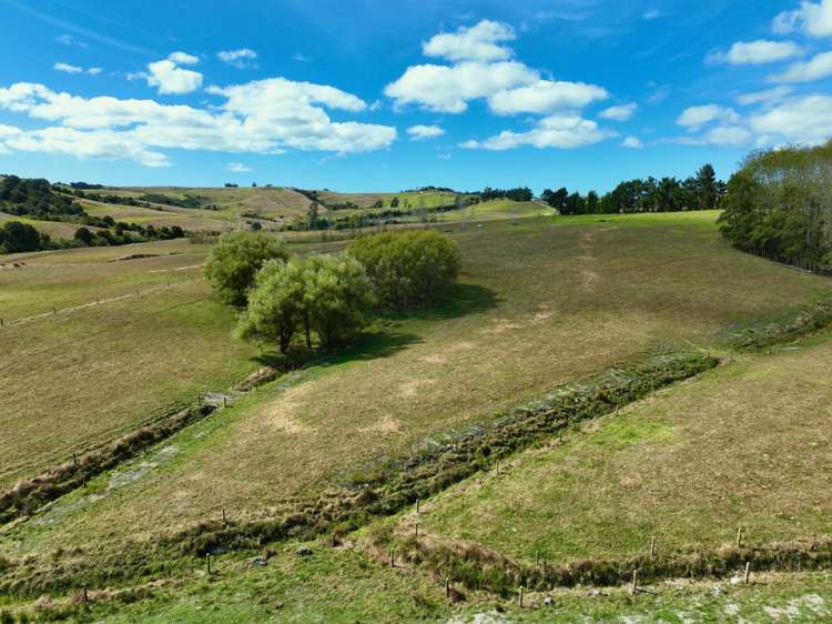 56 Lawrence Road Kaiwaka_22