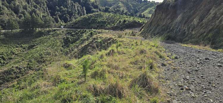 Junction Road Stratford_18