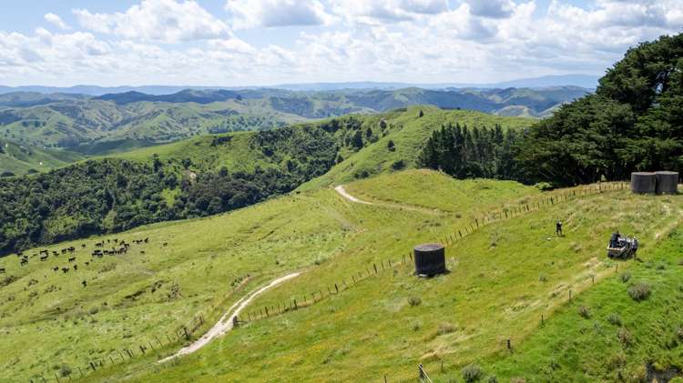 769 Pa Valley Road Eketahuna_4