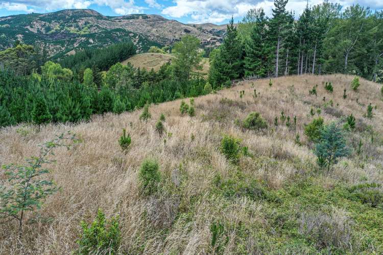 1664 Kahuranaki Road Kahuranaki_23