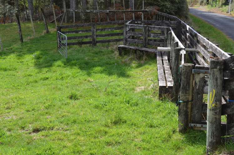 1539 Waitaanga Road Ohura_17