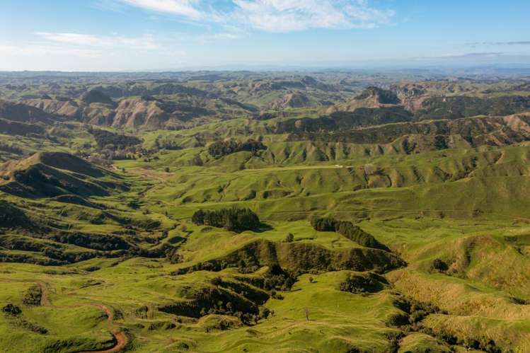 231 Leitch Road Piopio_7