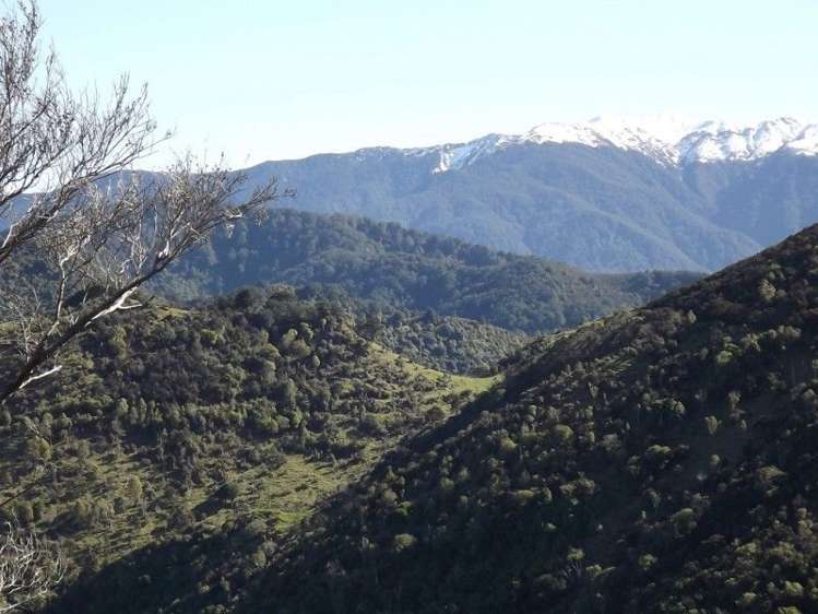 704 Mangatarere Valley Road Carterton_9