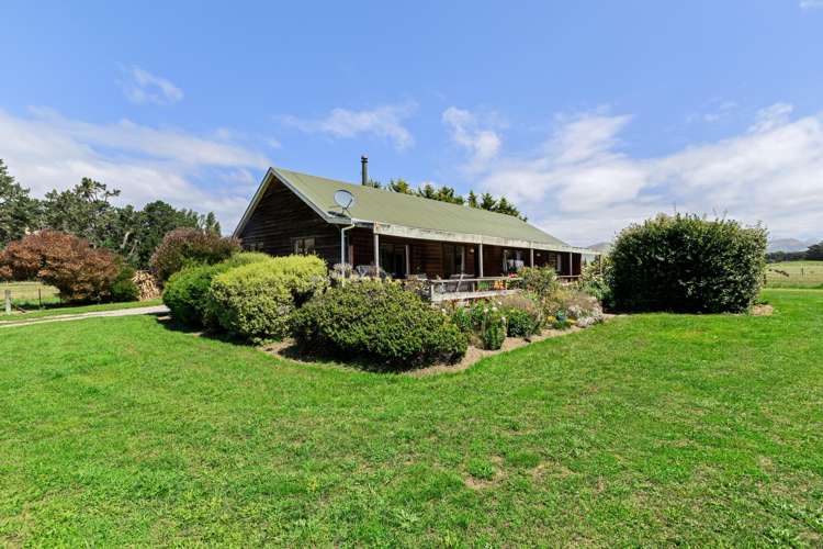 36 Seddon Street Ward_12