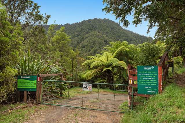 376 Te Waiti Stream road, Toatoa Opotiki_1