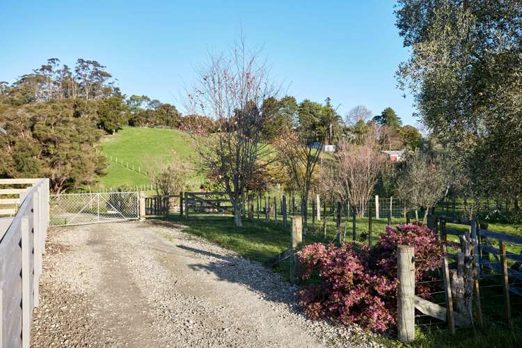 55 Ayton Street Mangapapa_5