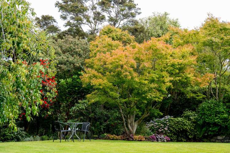 26 and 26A Grendon Street Maori Hill_33