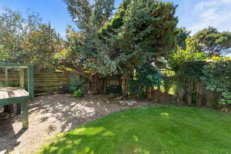 2a Lindale Street Morrinsville_11