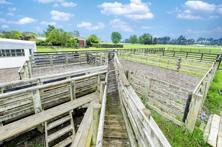 554 Boundary Creek Road Dunsandel_19