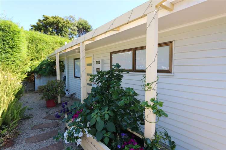 1 Catton Crescent Mount Roskill_1