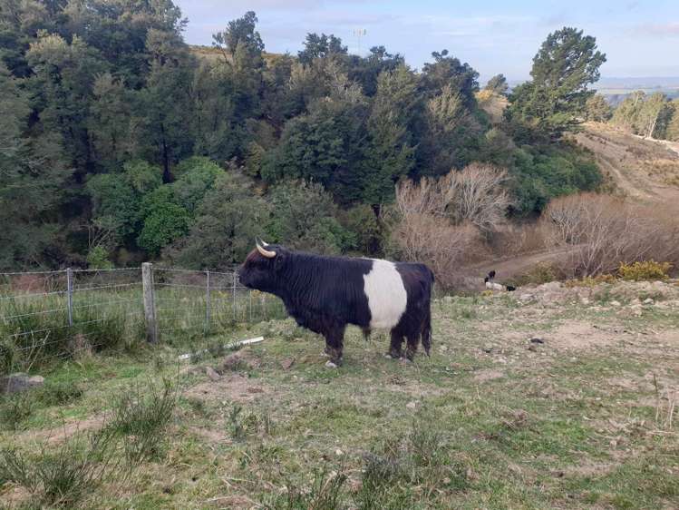 759 Bay Road Oxford_25