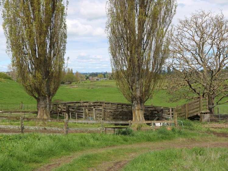 196 Hildreth Road Arapuni_9