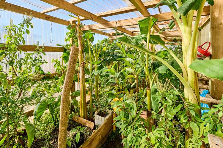 84 Cunliffe Street Churton Park_23