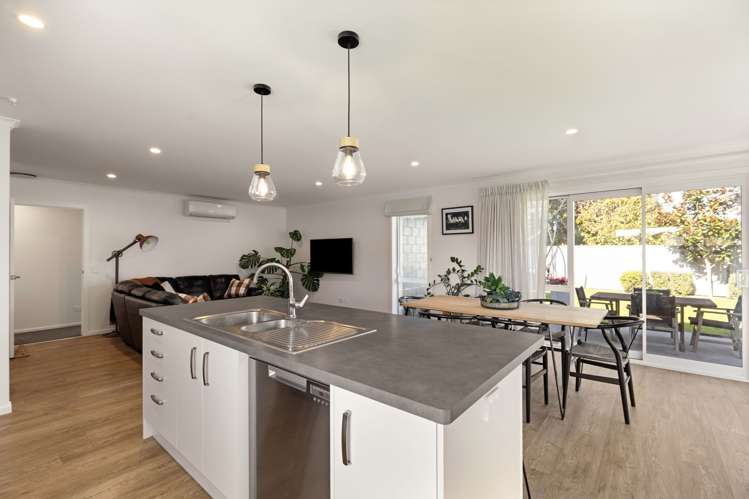 29 Monarch Drive Ashhurst_3