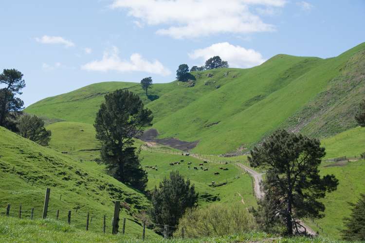 44 Coates Road Waikite Valley_24