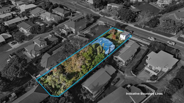 117 Hutchinson Avenue New Lynn_6