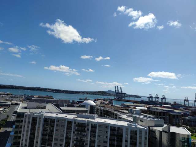 Stunning Sea View Apartment in Auckland CBD