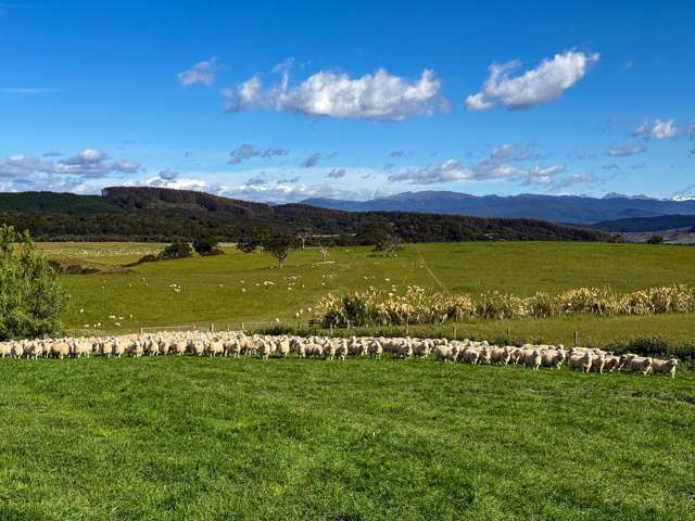 21 Lillburn Valley Road Clifden_4