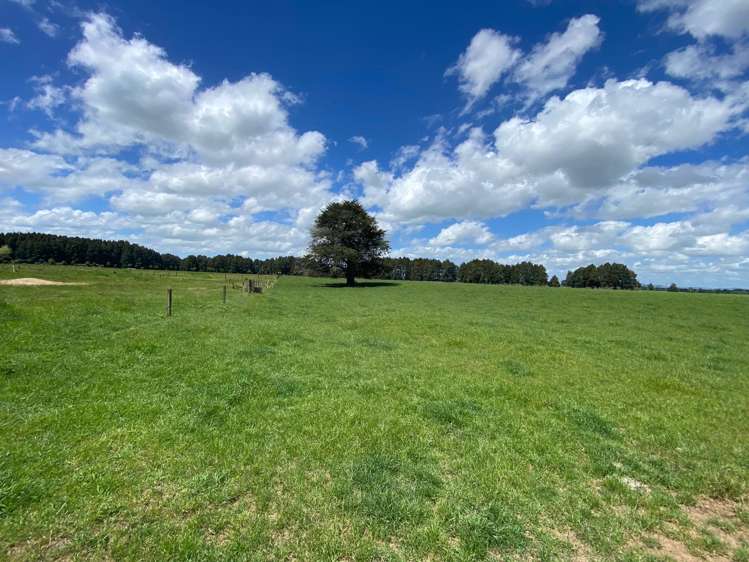 770C Gordonton Road Gordonton_25