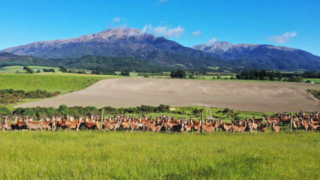 "The Downs" - 411 Hectares