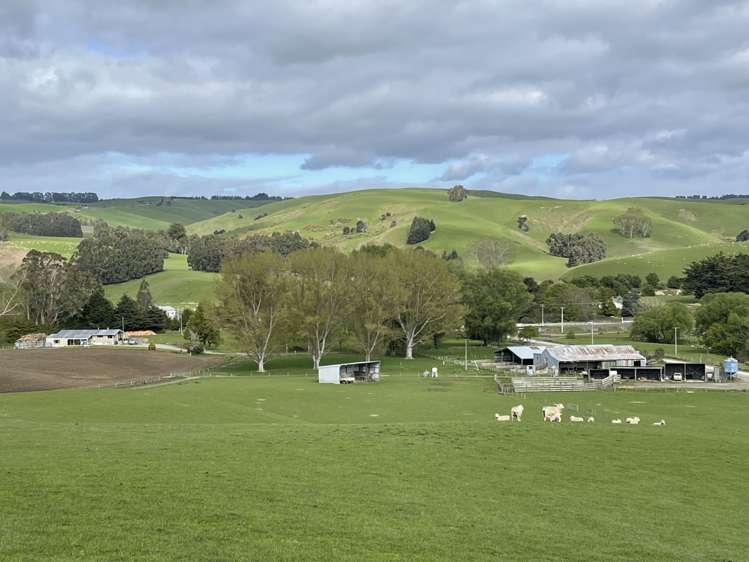 8 Munro Road Lawrence_16