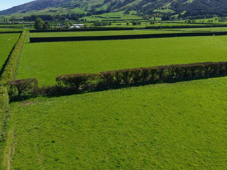 35 Maungatua Road Taieri Plain_21