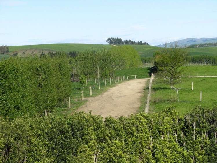 369 Black Gully Road West West Otago Surrounds_8