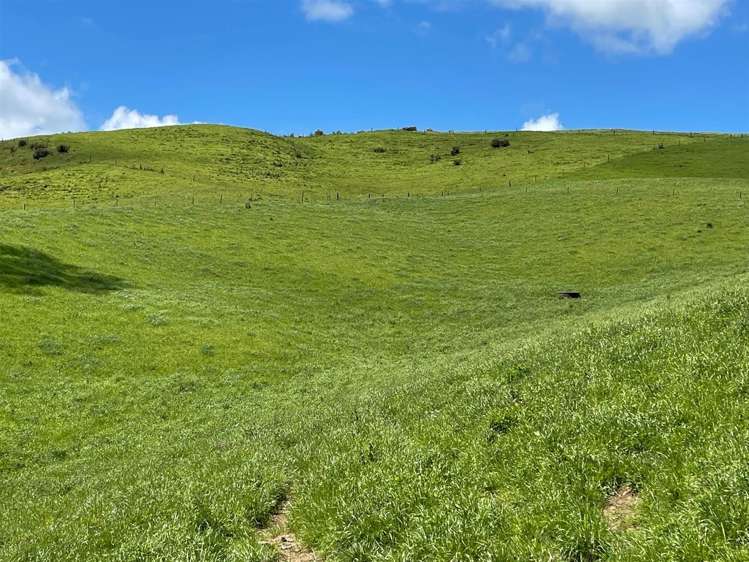 67 Okoko Road Otorohanga_12