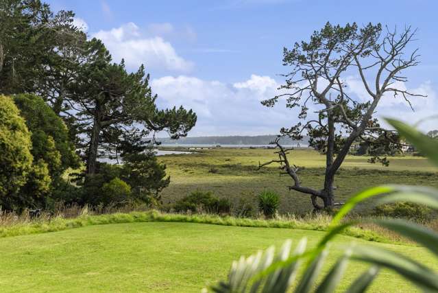 79c Holly Street Avondale_2