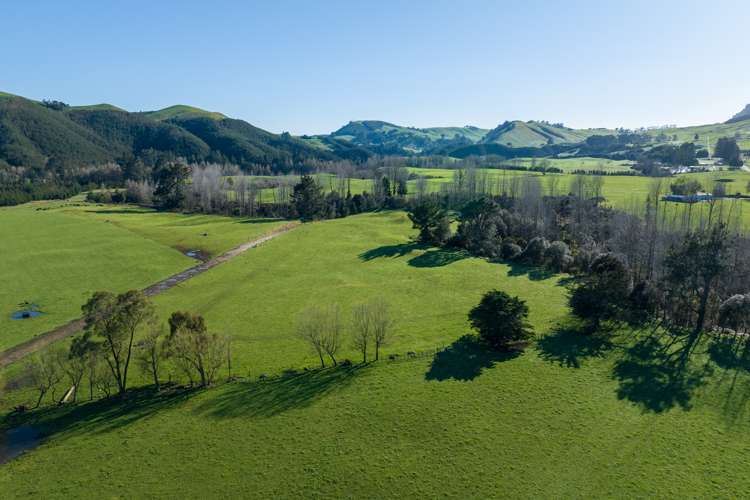 1038 Te Kopia Road Waikite Valley_12