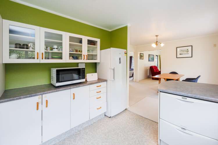 16 Delta Place Milson_5