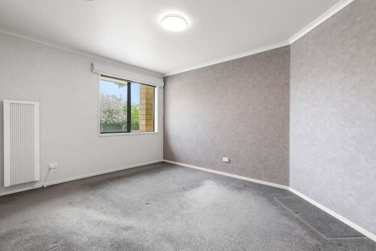 54 Avenue Road South Morrinsville_11