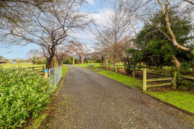 40 McIvor Road Anderson Park_30