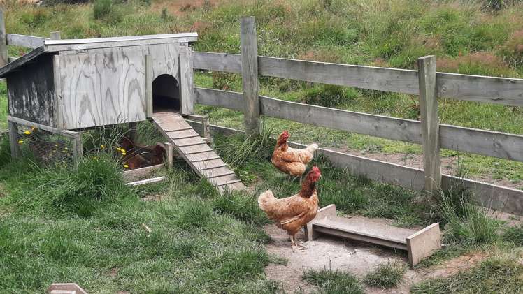 902 Lawrence Waitahuna Highway Waitahuna_28