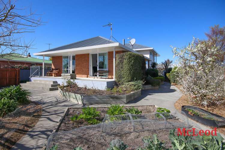 163 Harland Street Tinwald_3