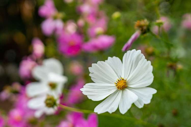 344 One Tree Point Road One Tree Point_28