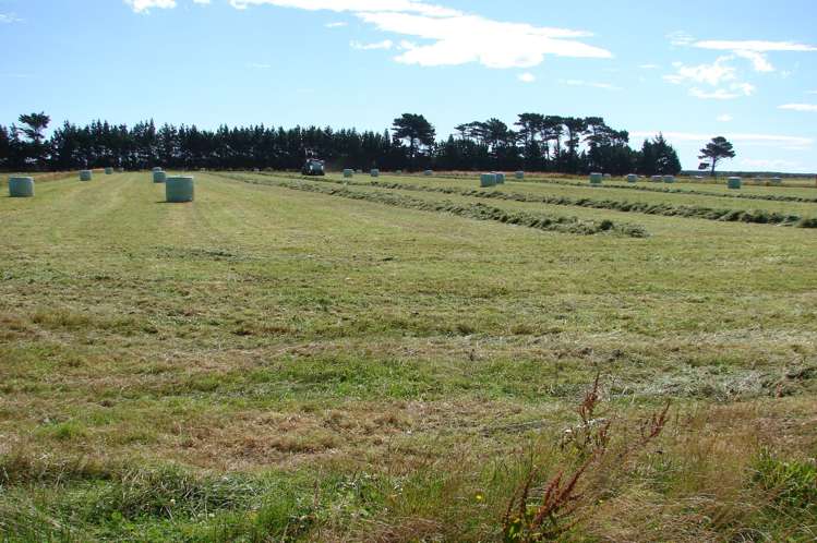 194 Talls Road Gorge Road_9