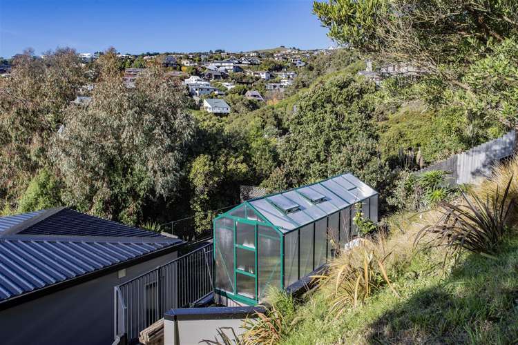 103 Mount Pleasant Road Mount Pleasant_18