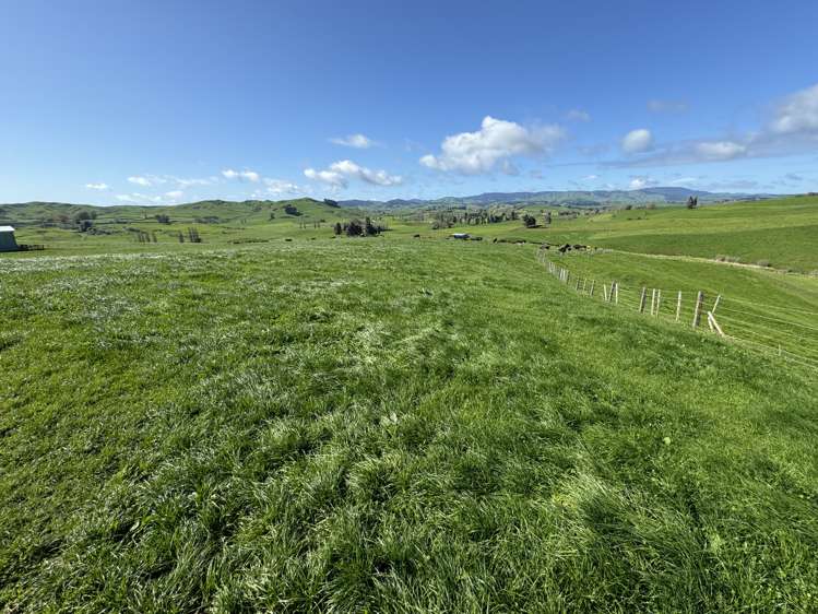 684 Maihiihi Road Otorohanga_28